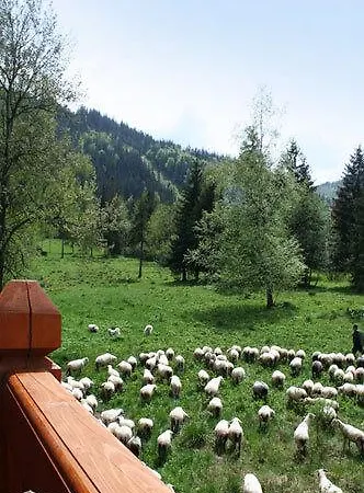 Tatrzańskie Turnie Apartament Zakopane